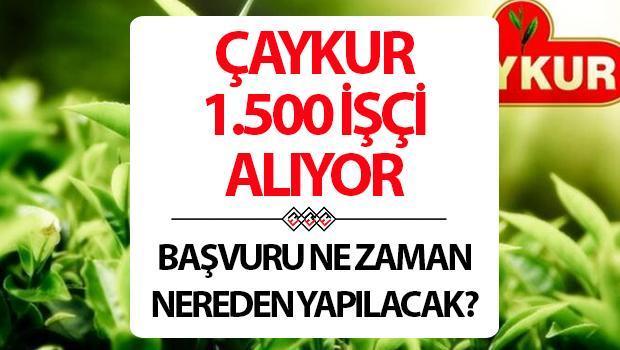 caykur-1500-isci-alimi-basvuru-ekrani-18-50-yas-arasinda-en-az-ilkokulu-mezunu-olanlar-basvurabilecek-qRNbvdyK.jpg