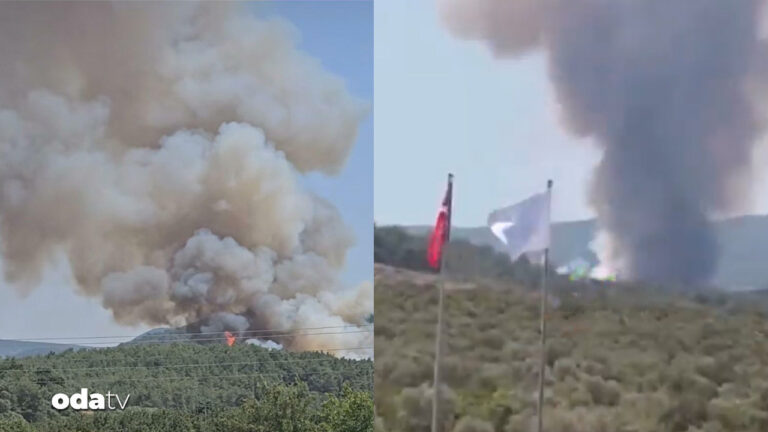 mendereste-orman-yangini-havadan-ve-karadan-mudahale-ediliyor-aMdb9GLw.jpg